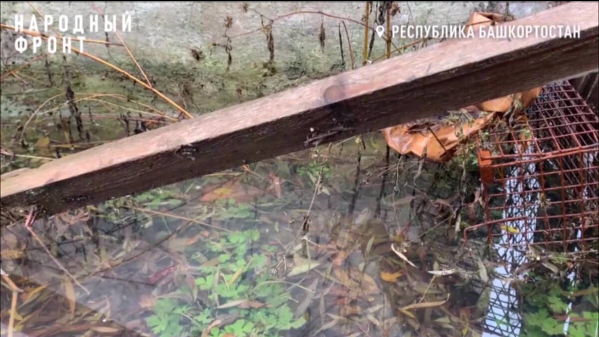    В уфимской Нижегородке произошел осенний разлив воды