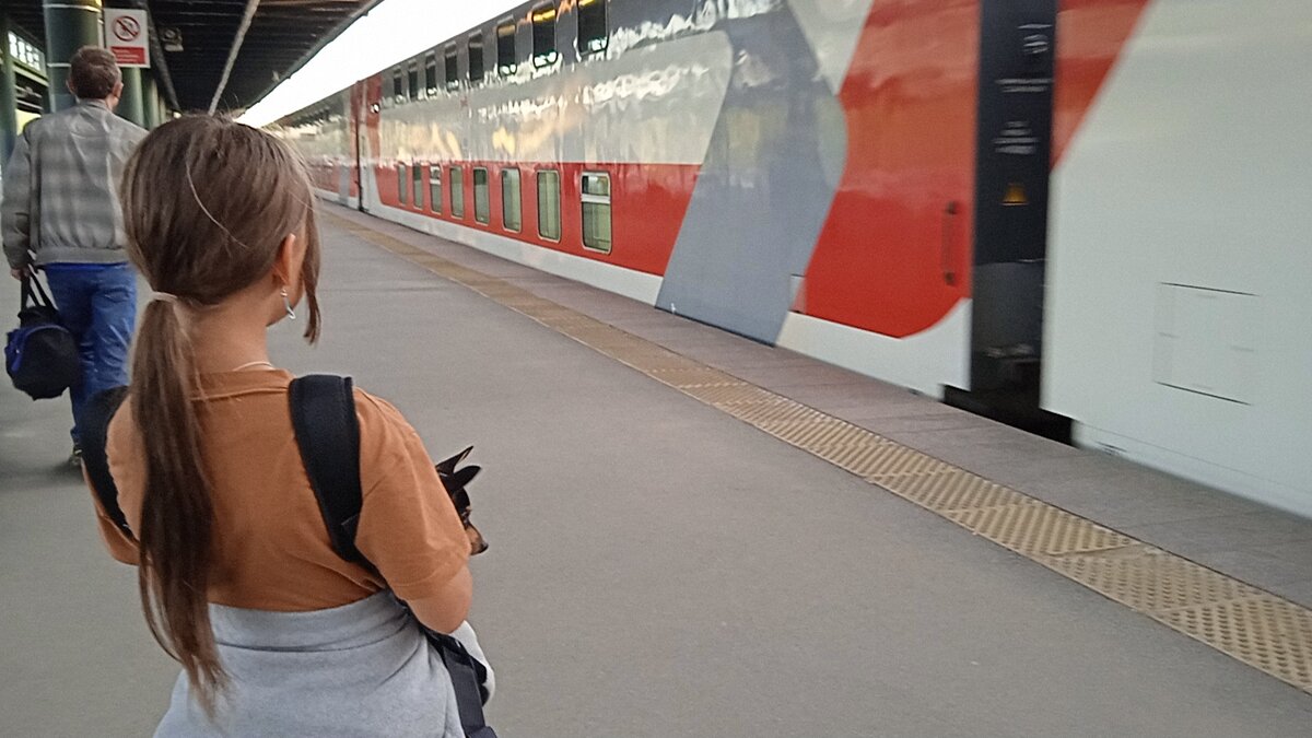 Путешествие с собакой: в ожидании посадки на поезд