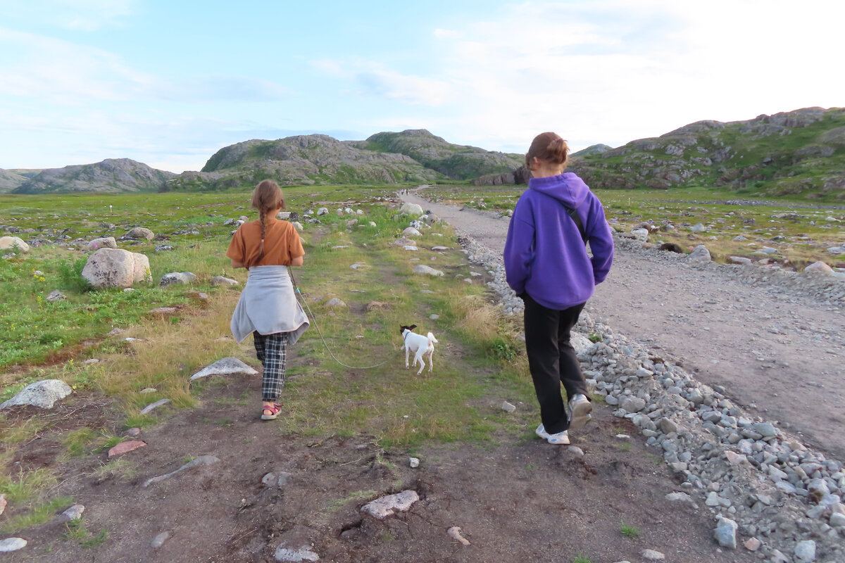 Путешествие с собакой: прогулка по Заполярью