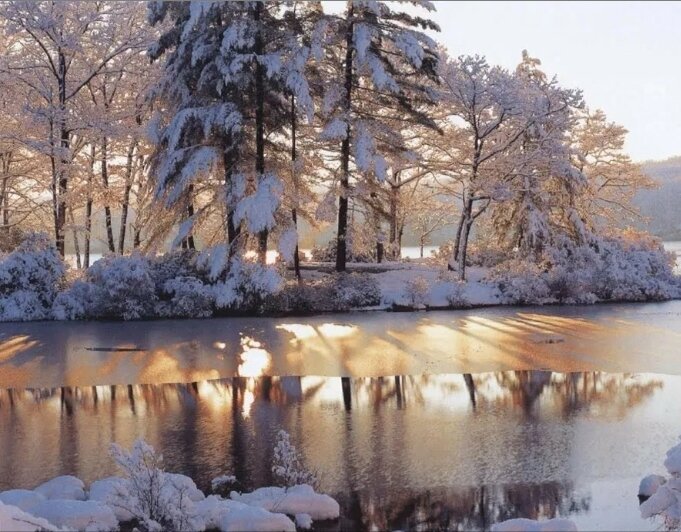 Первые дни зимы... 