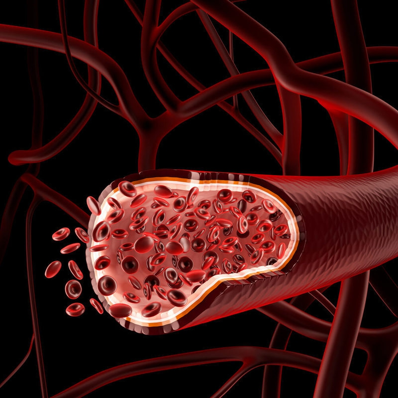 Самые мельчайшие кровеносные капилляры. Самые мельчайшие кровеносные сосуды. Кровеносные сосуды в теле человека. Сосуды фрактал. Вена кровеносный сосуд.