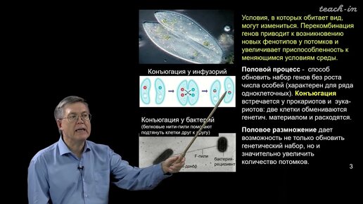 Дубынин В.А. - 100 часов школьной биологии - 2.13. Мейоз и половое размножение