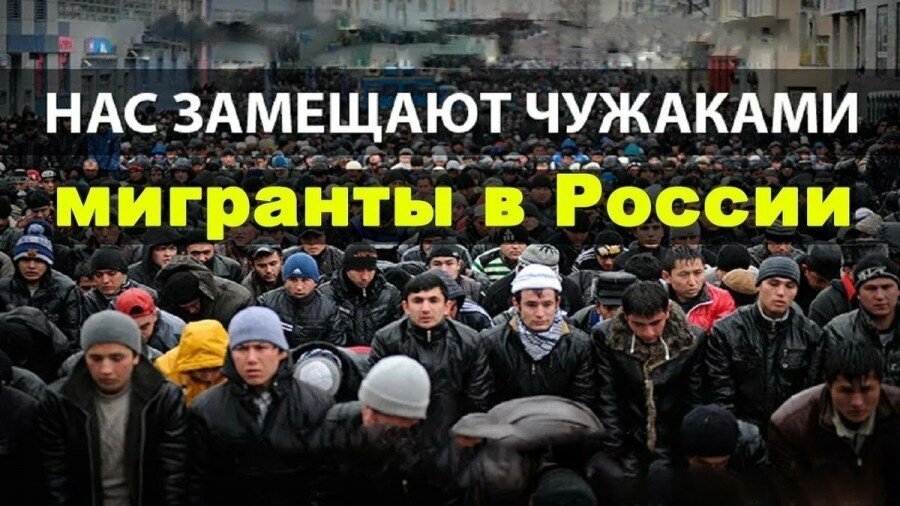 Против мигрантов картинки