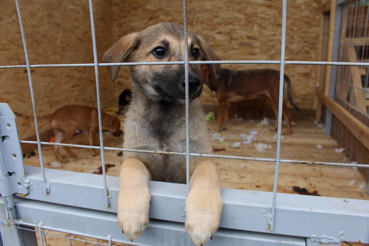 фото из архива 2020 года