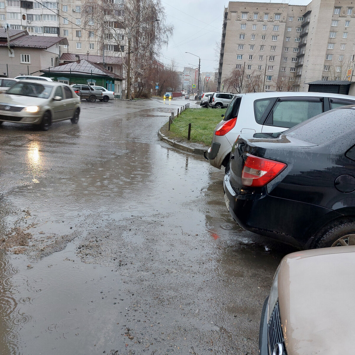 Сегодня дождь поливает всё вокруг, а вчера мы поливали наши кусты и деревья  | Дом, сад, телескоп, Алтай | Дзен