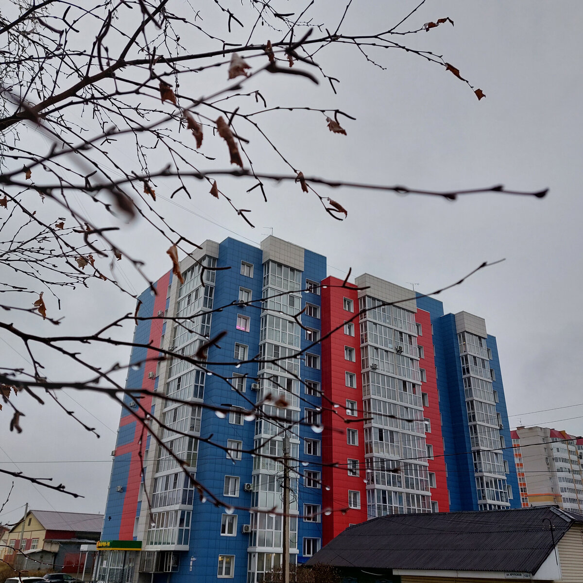 Вот пыталась сфотографировать капли на ветке... Но уже не стала долго ходить под сильным дождем и капли у меня не очень-то получились...