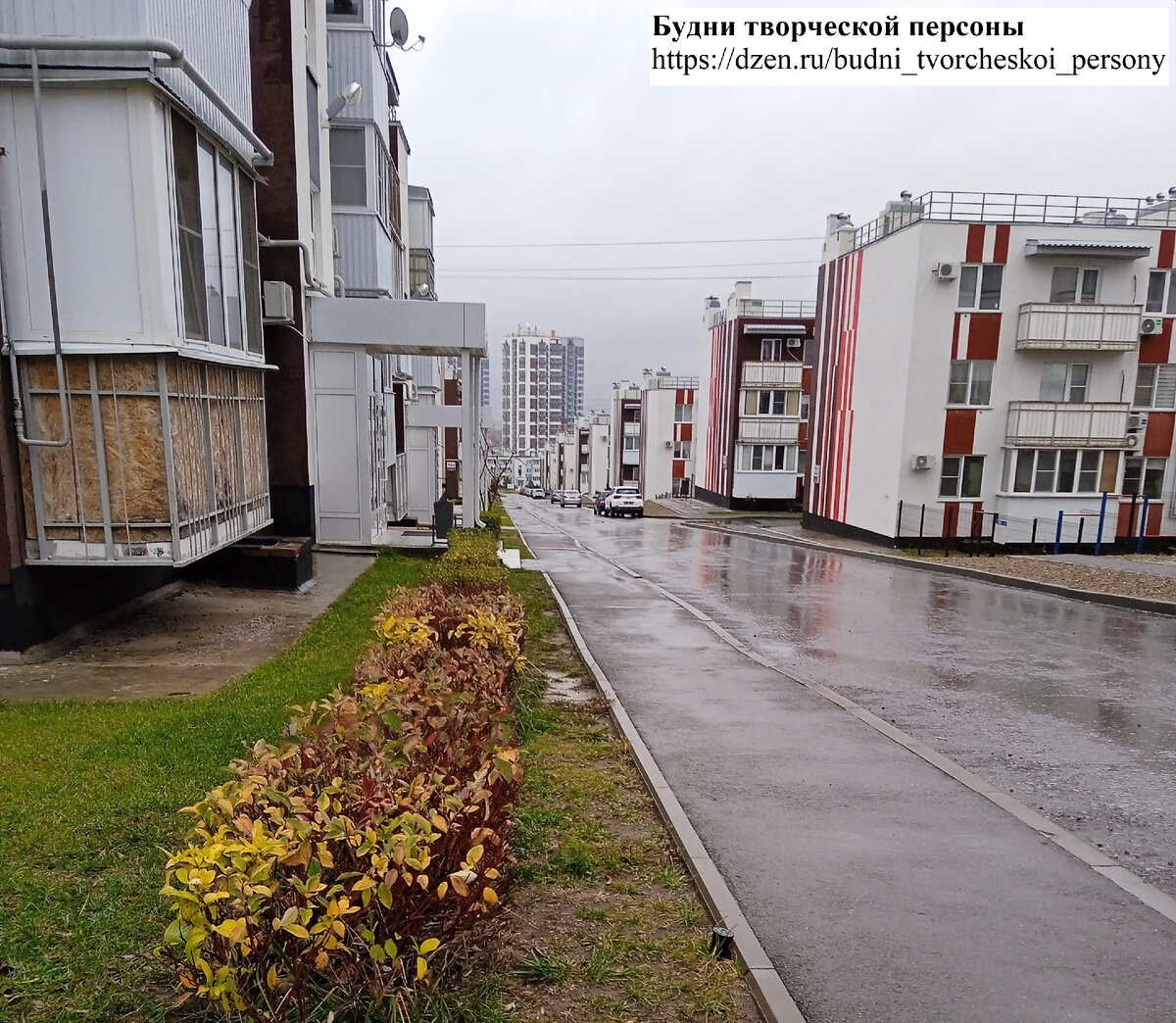 Лучшая погода для нанесения татуировки