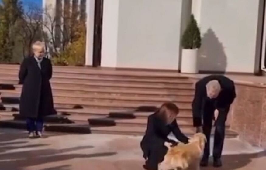    «Хотела выглядеть "более человечной"»: Собака главы Молдавии укусила президента Австрии