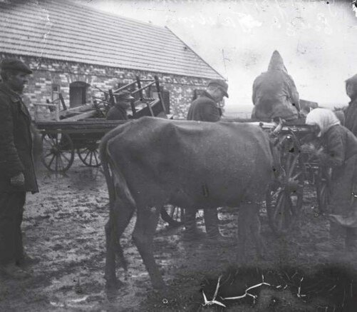 1930-е. Раскулачивание крестьянина П. Емца в Гришинском районе Донецкой области