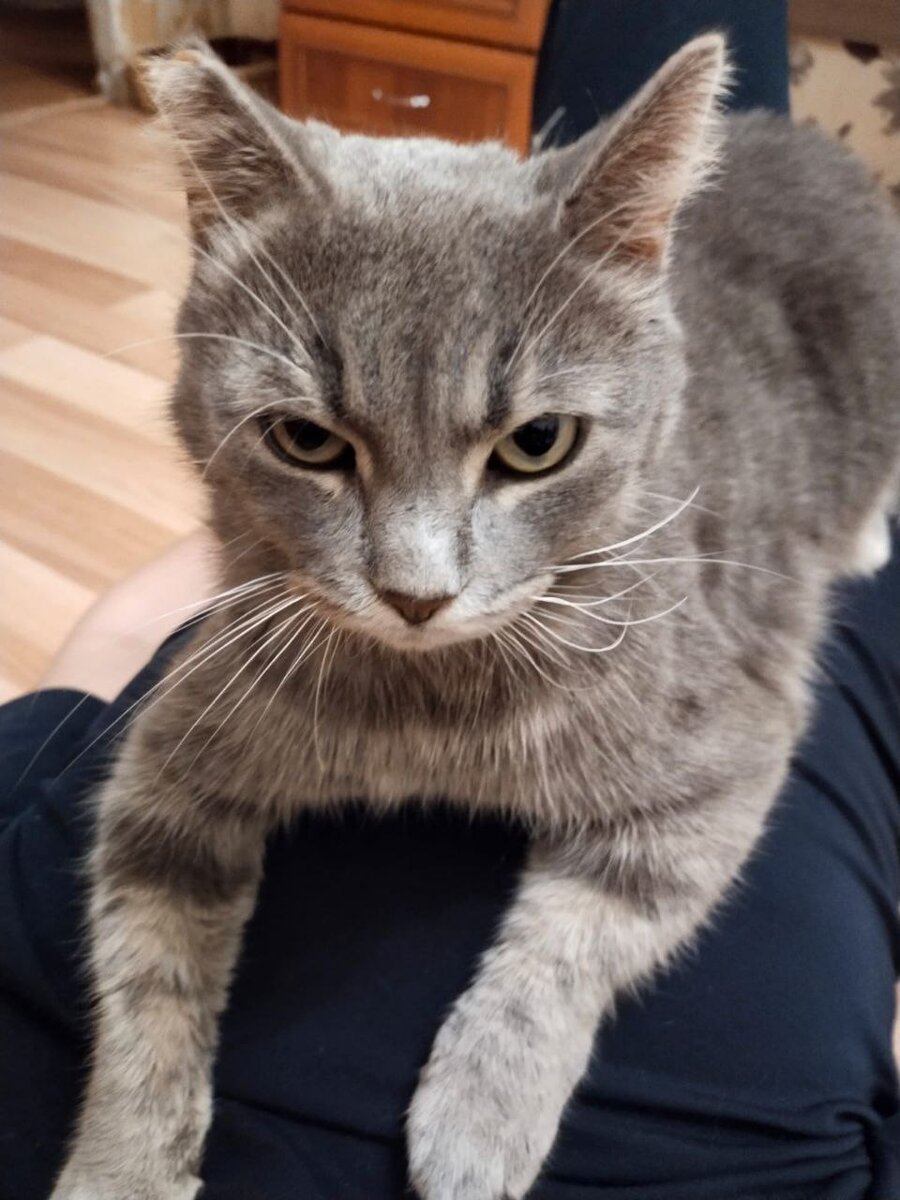 Он очень ждет корма🧐🧐🧐