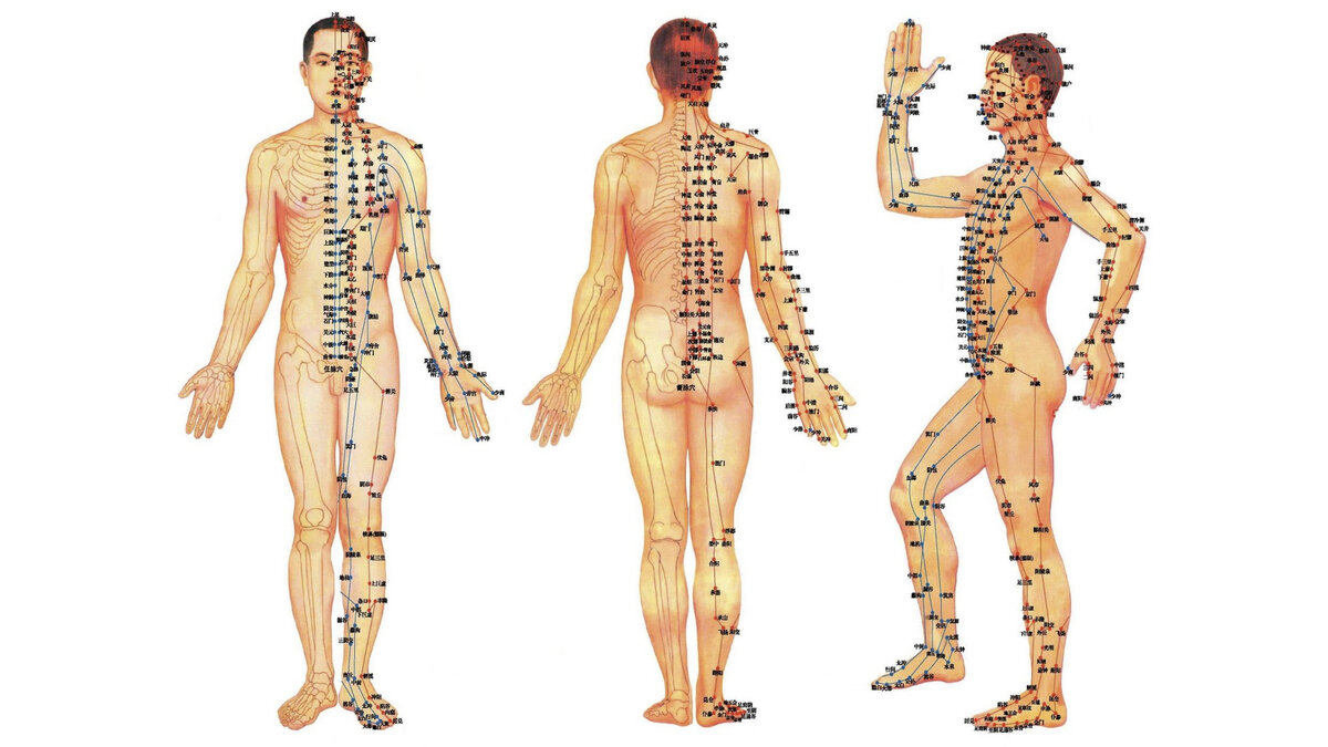 Биологически активные точки на теле человека