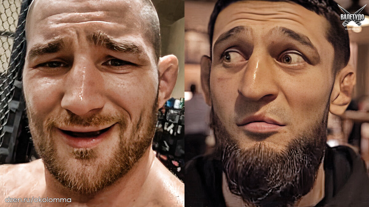 Чемпион UFC Шон Стрикленд и Хамзат Чимаев | valetudo.ru
