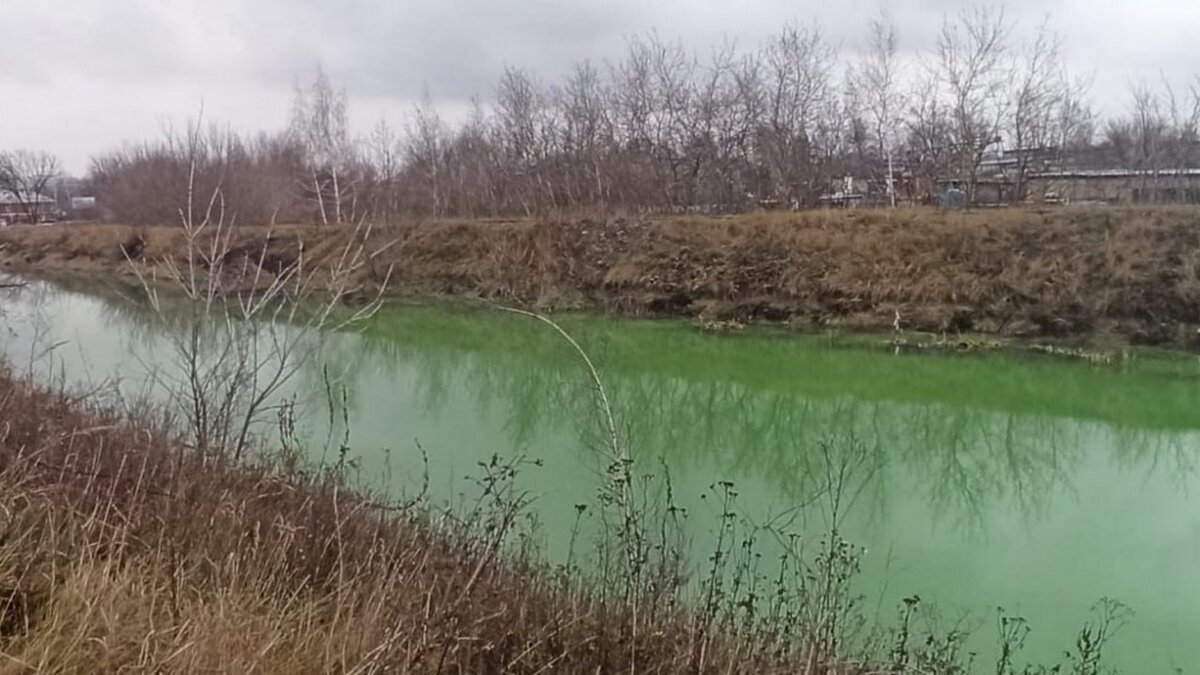    В Курске на улице Соловьиной зафиксирован сброс сточных вод