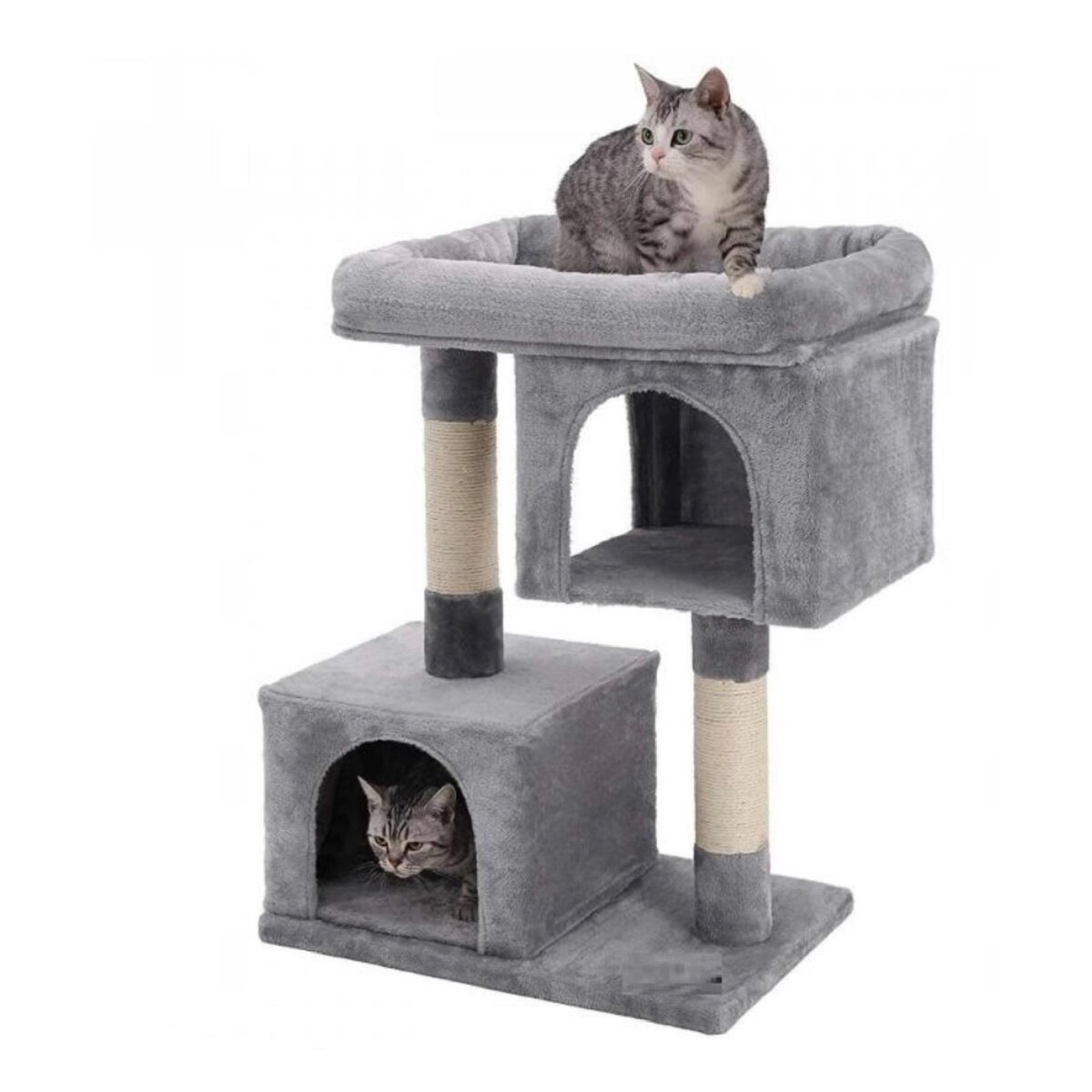 5 полезных советов ветеринара: как заботиться о здоровье ваших кошек