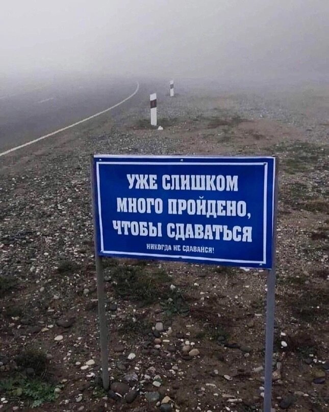 Фото: из открытых источников в Сети.