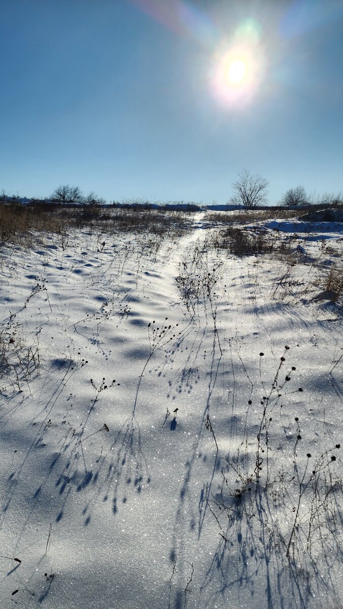 Белое безмолвие донбасской степи | Я путешествую одна | Дзен