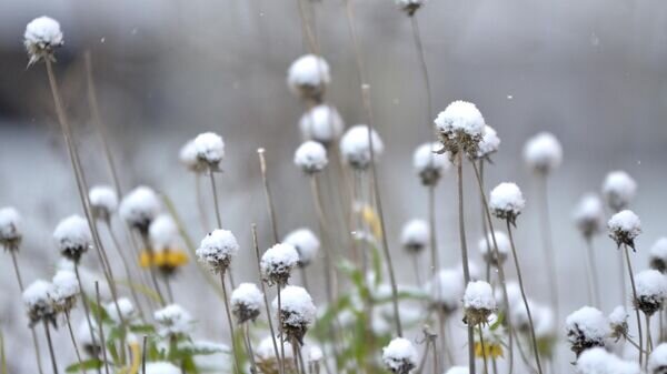    © Sputnik / Татьяна Федоренко