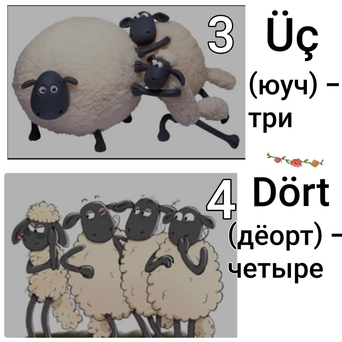 Урок 5. Почему 