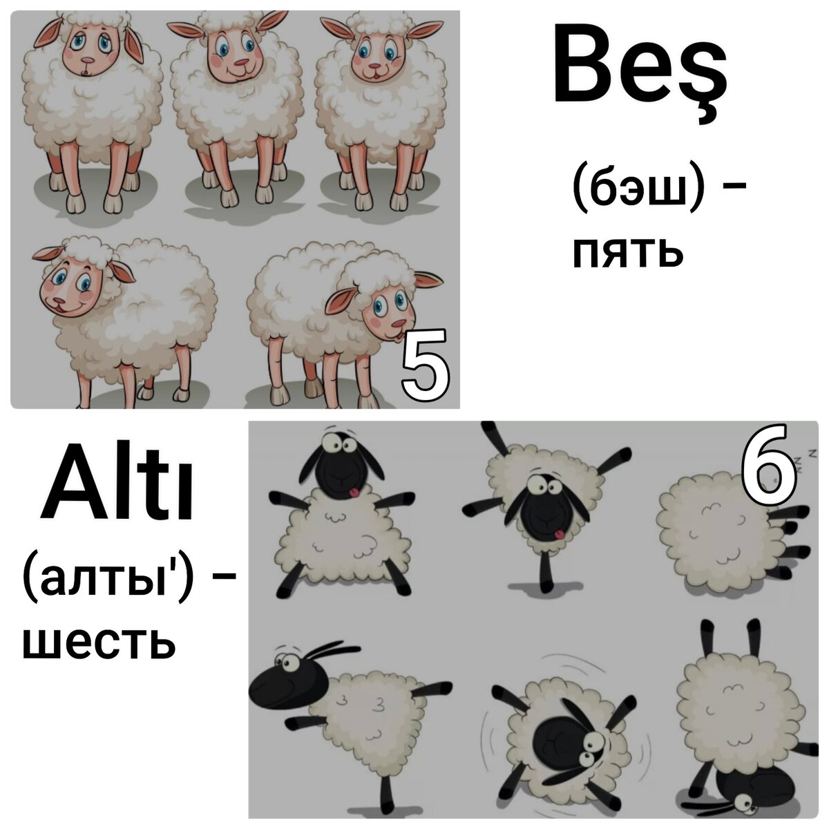 Урок 5. Почему 