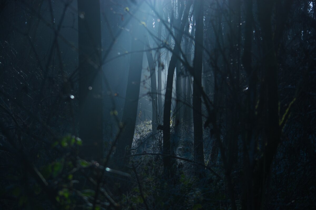 Фото с сайта pixabay.com