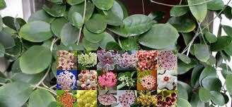 Фото интернет 