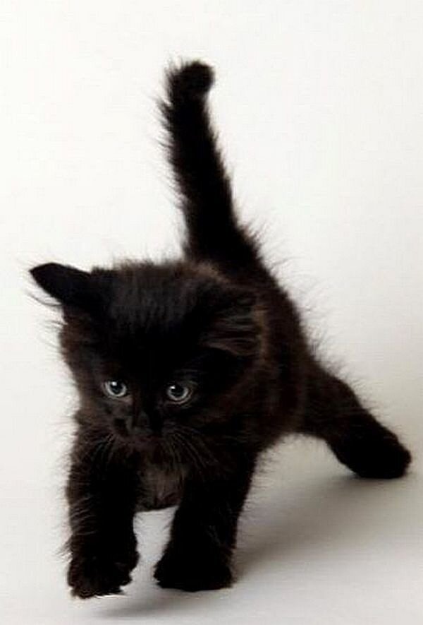 Фото из интернета