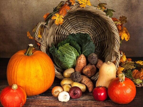    © Pixabay Sabrina_Ripke_Fotografie