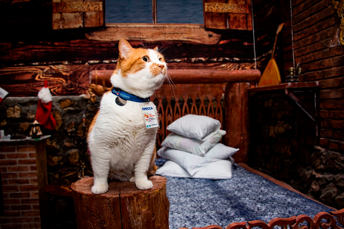 Кровать у Деда Мороза удобная. 