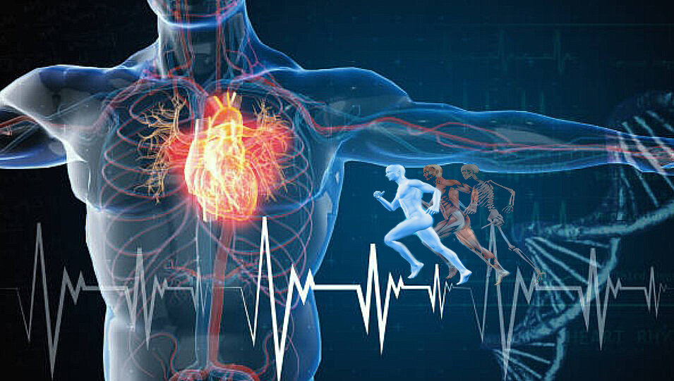 Источник: www.istockphoto.com