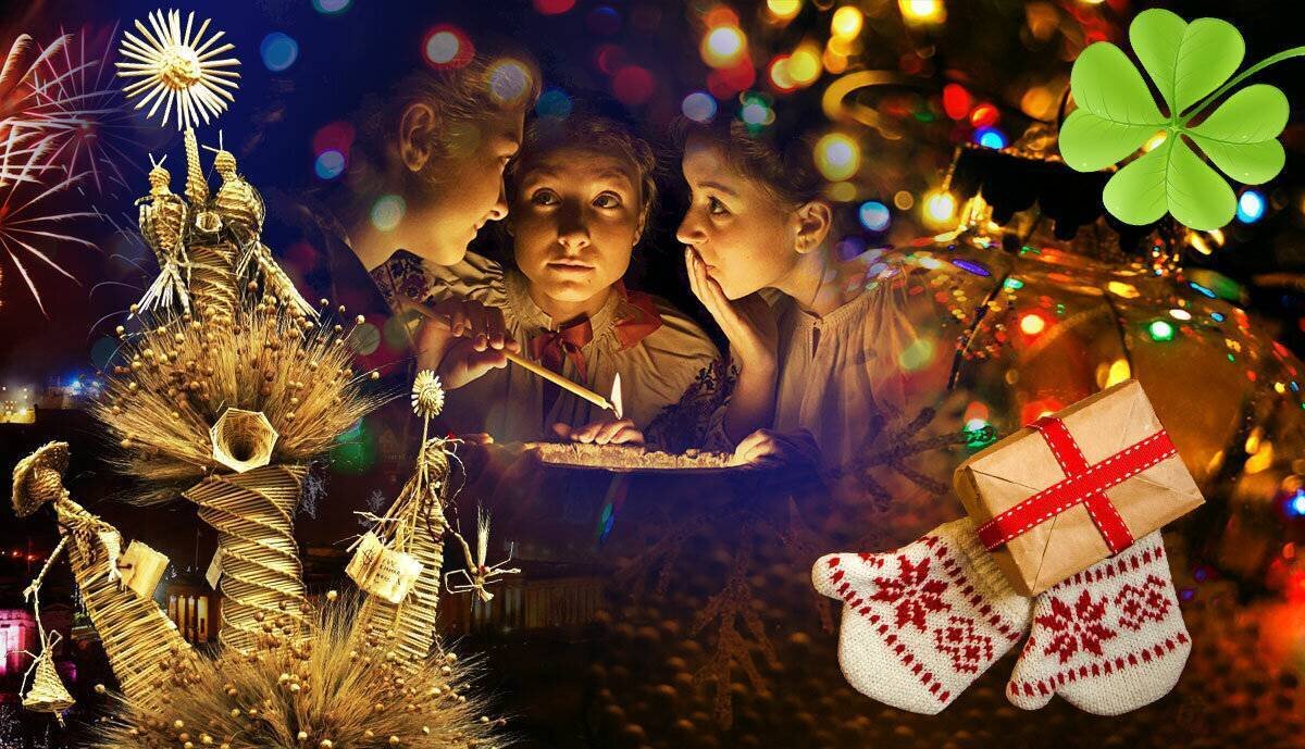 Фото из интернета. ССылка на источник: https://yandex.ru/images/search?from=tabbar&text=картинки%20из%20интернета%20без%20авторских%20прав