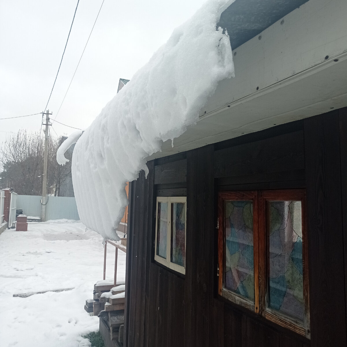 День обещает быть морозным,коты подтверждают. | Дома не скучно.Загородная  жизнь на пенсии. | Дзен