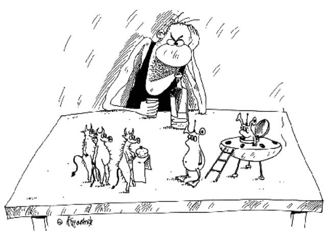 Фото взято у независимых источников.