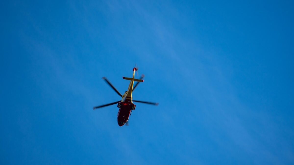    Фото: Unsplash Август Макаров