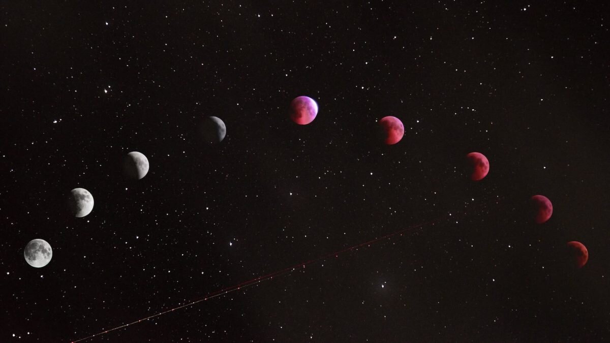    Фото: Unsplash Август Макаров