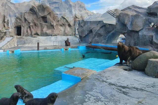   Самым посещаемым местом остаётся Удмуртский государственный зоопарк. Фото:  АиФ/ Екатерина Котельникова