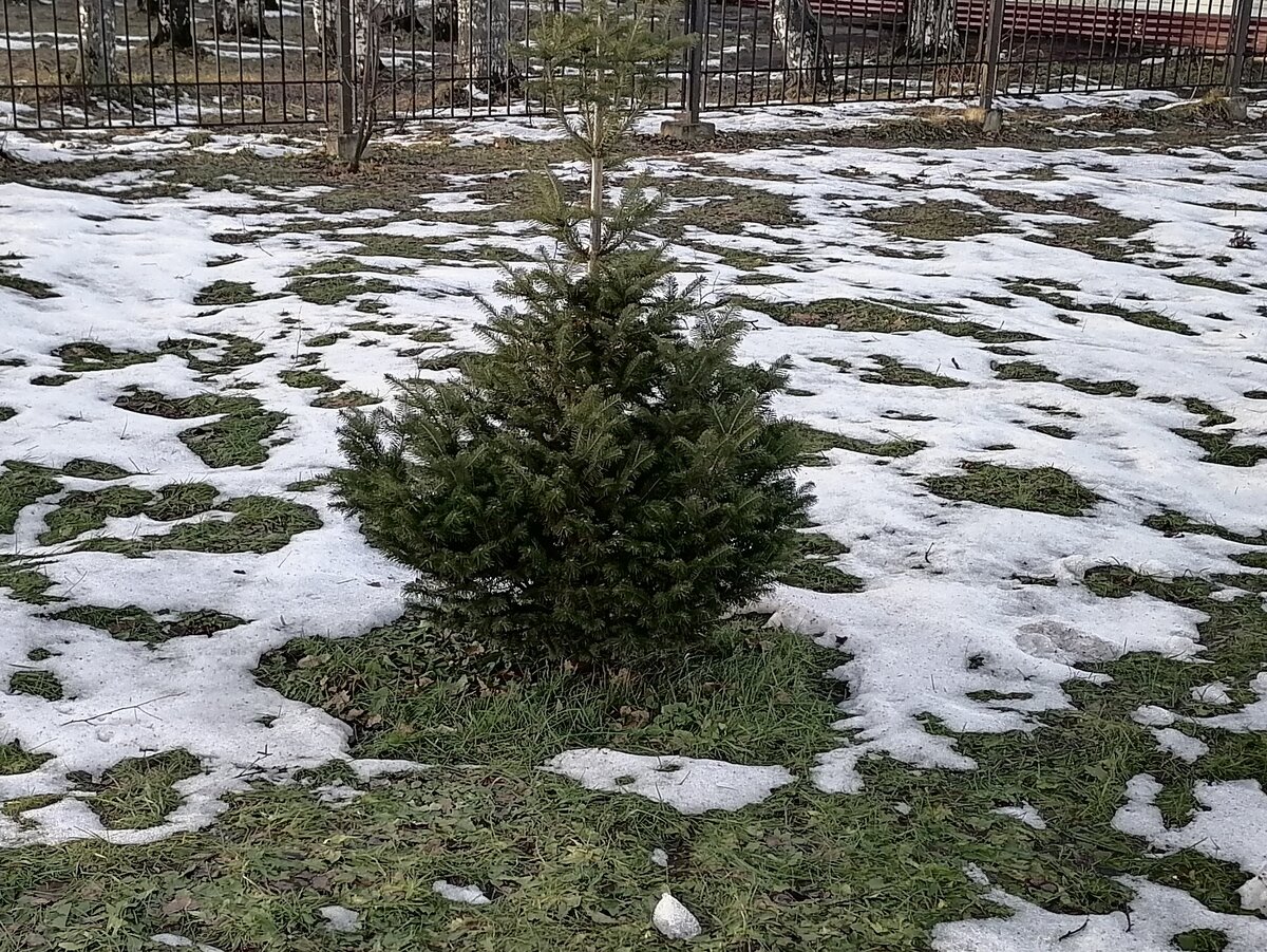 Приветствую всех! Вот опять я загуляла на пару дней - не было вдохновения писать. А сегодня вместо того, чтобы уборку делать, села за очередную статью.