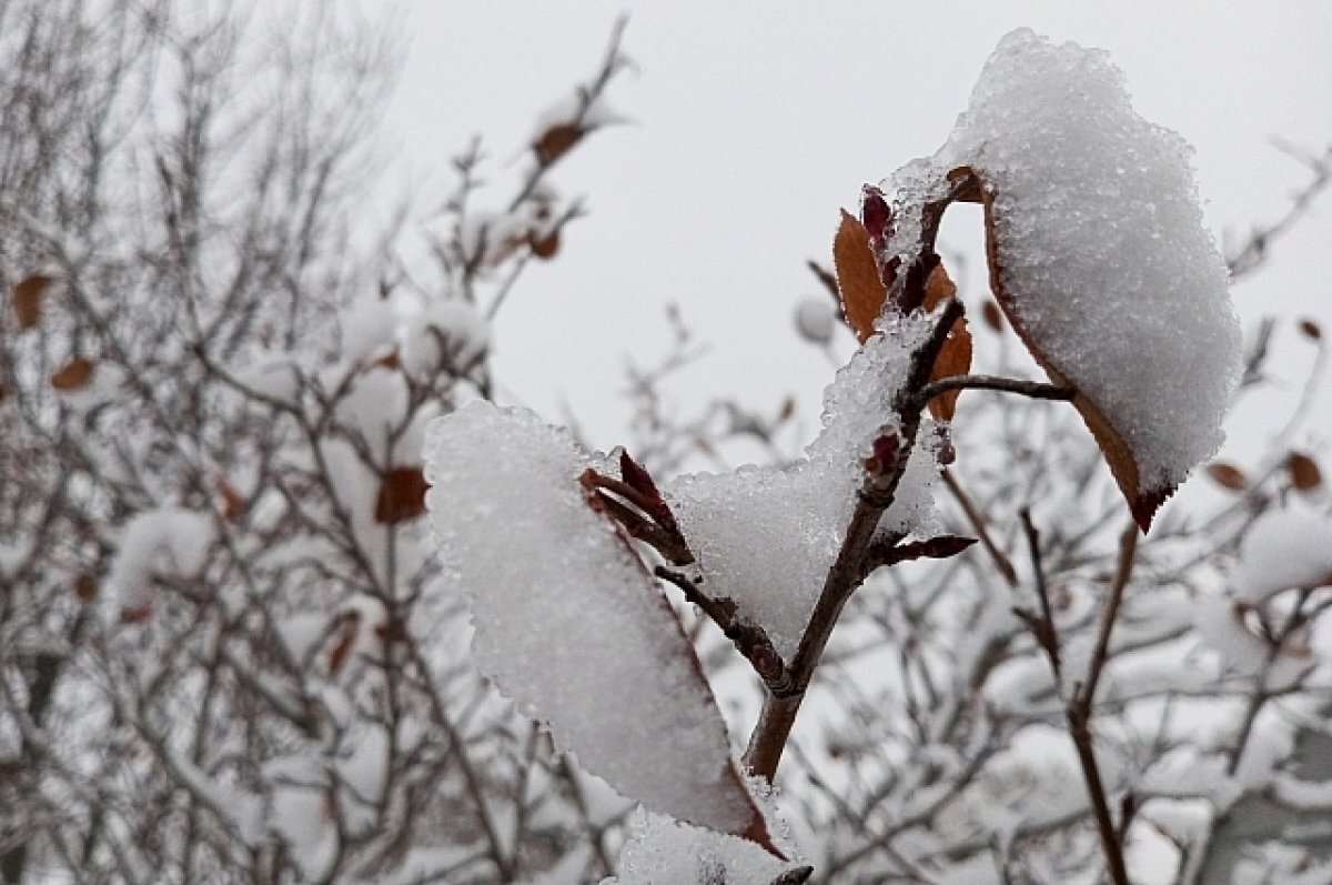    В ночь с 18 на 19 ноября в Новосибирске ожидается резкое изменение погоды