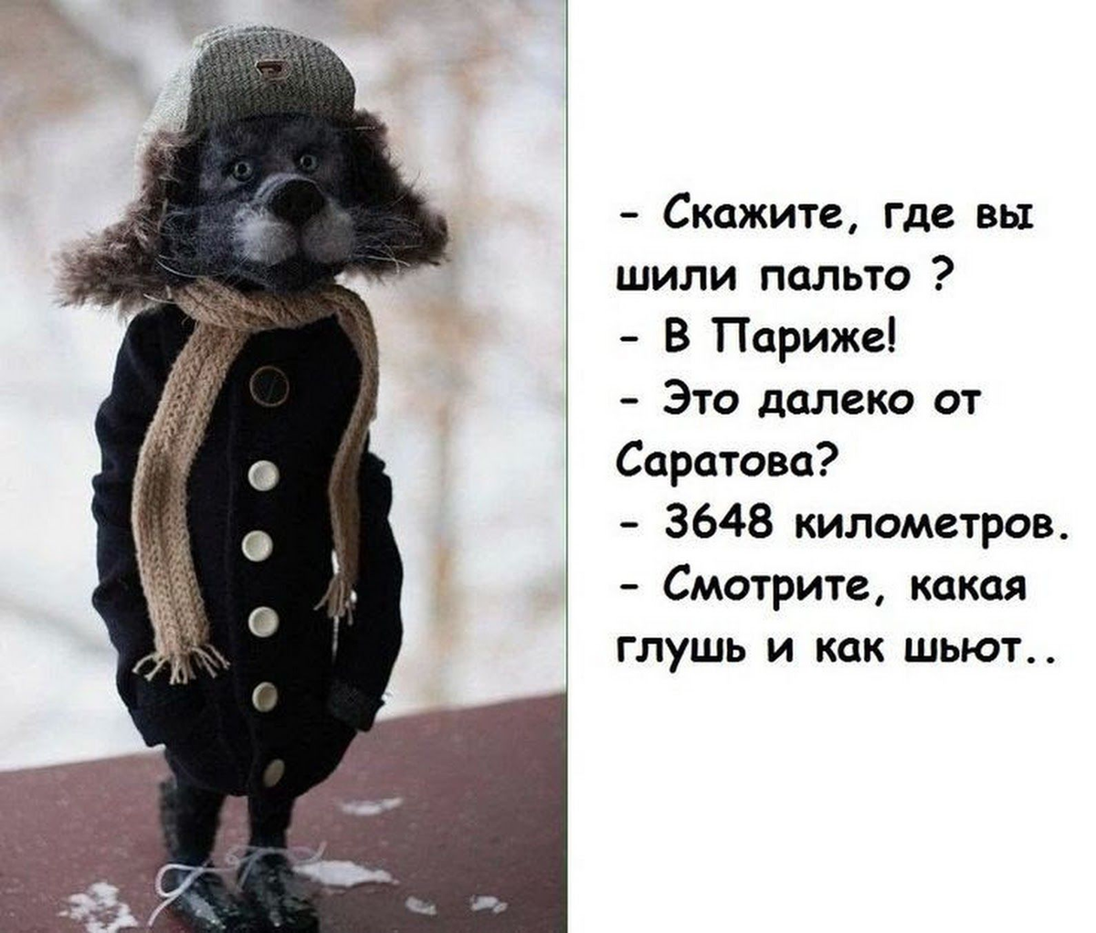 Скажите где вы шили пальто. Скажите где вы шили пальто в Париже. Пальто прикол. Цитаты про пальто.