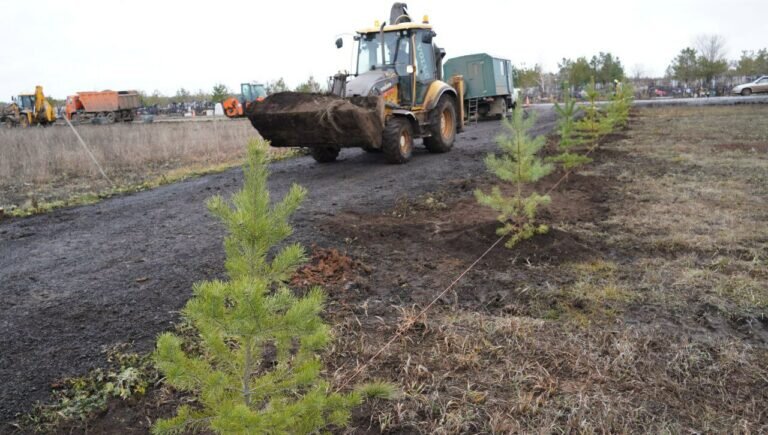    В Оренбурге на кладбище благоустраивают аллею погибшим в спецоперации Кристина Просвиркина