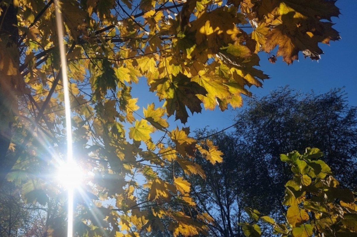    18 ноября в Псковской области ожидается до -6 градусов