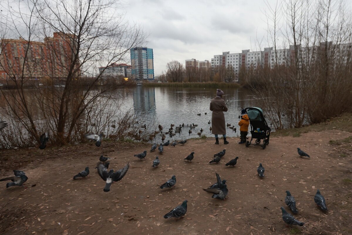 Казанцы пытаются спасти краснокнижных птиц на озере Большое Чайковое |  Вечерняя Казань | Дзен