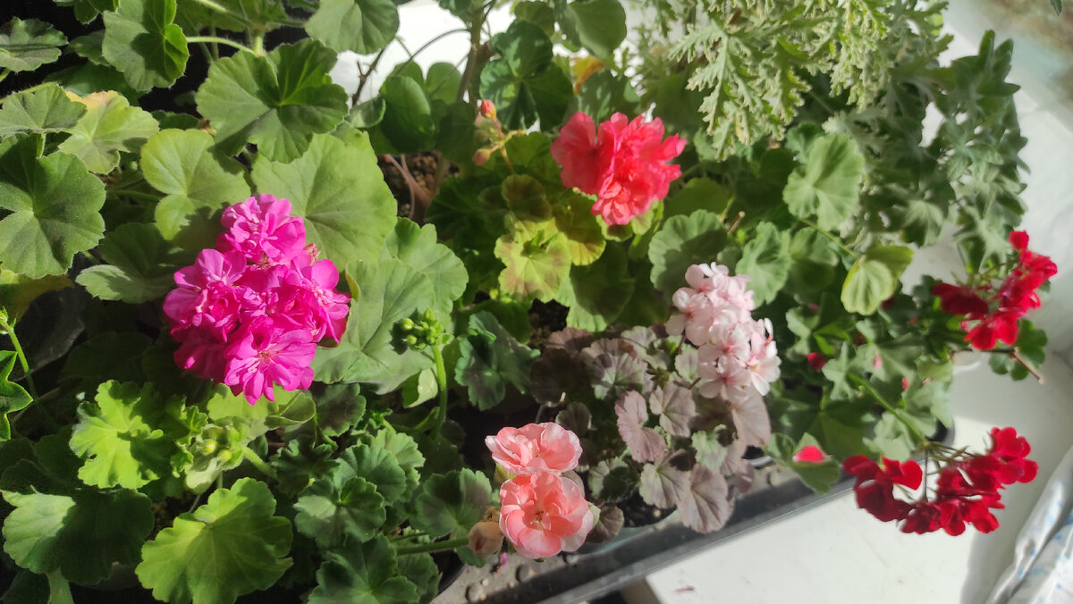 Такие все разные! 