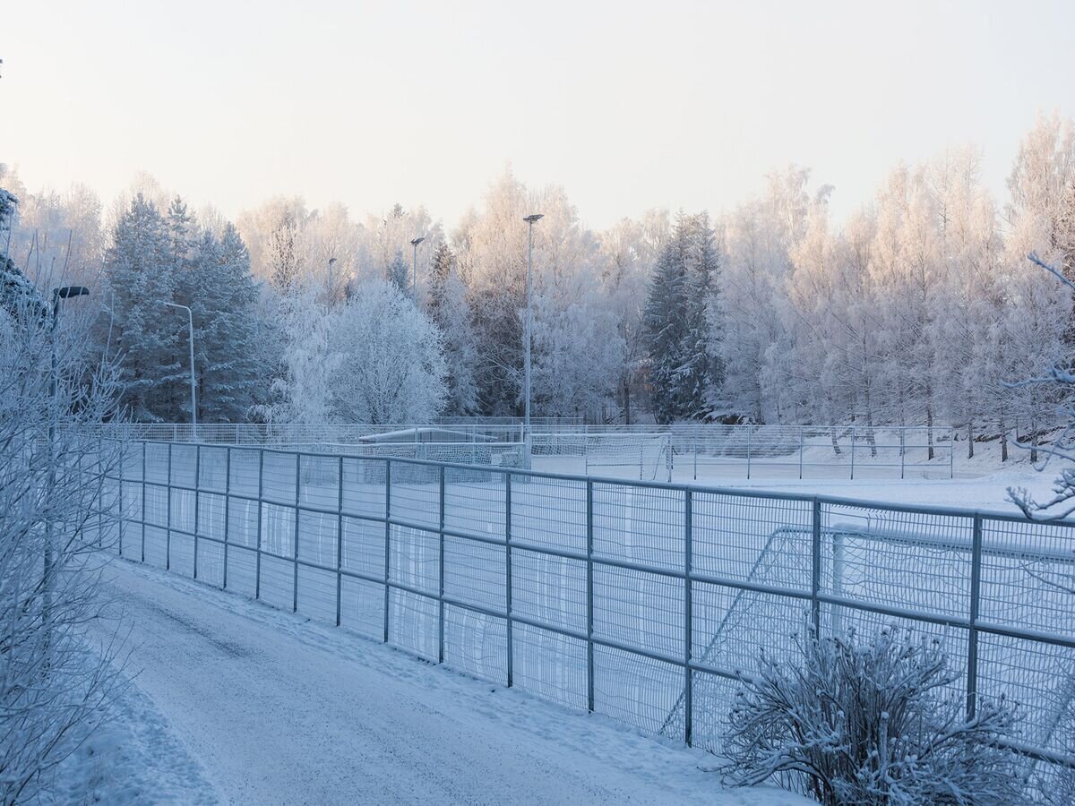    Российско-финская граница© Fotolia / Juhku