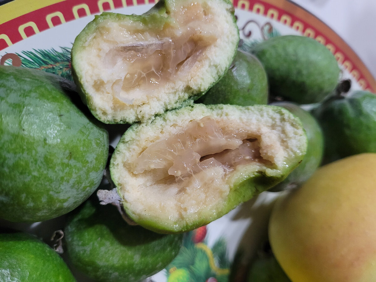 Фото автора.