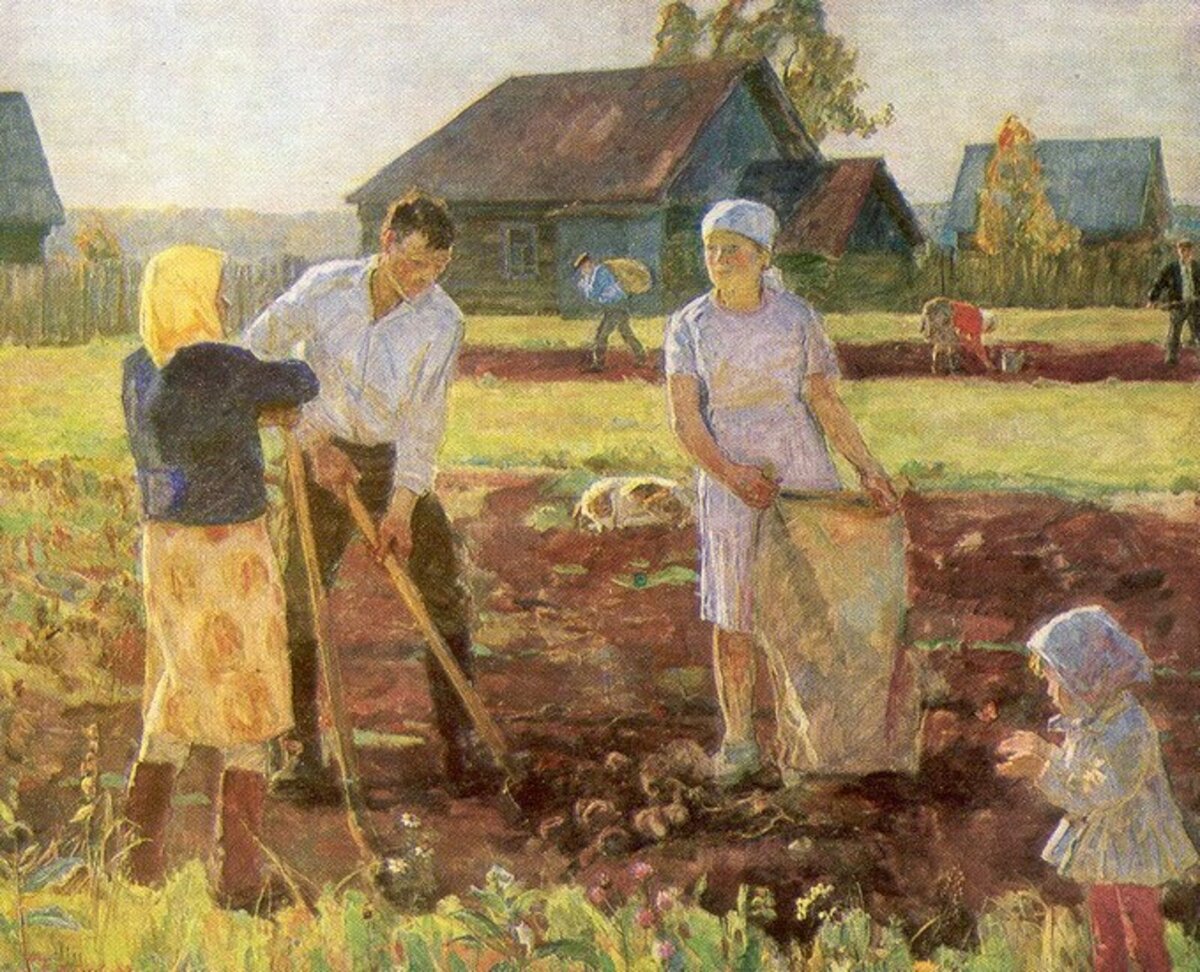 С мамой в деревне рассказ. Новиков Николай Федорович (1922- ). Новиков Николай Фёдорович (1922 - 2013). Новиков н ф картошка.