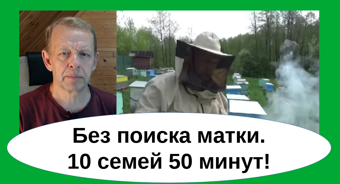 Работа на пасеке, где я 10 семей осматриваю за 50 минут легко и размеренно