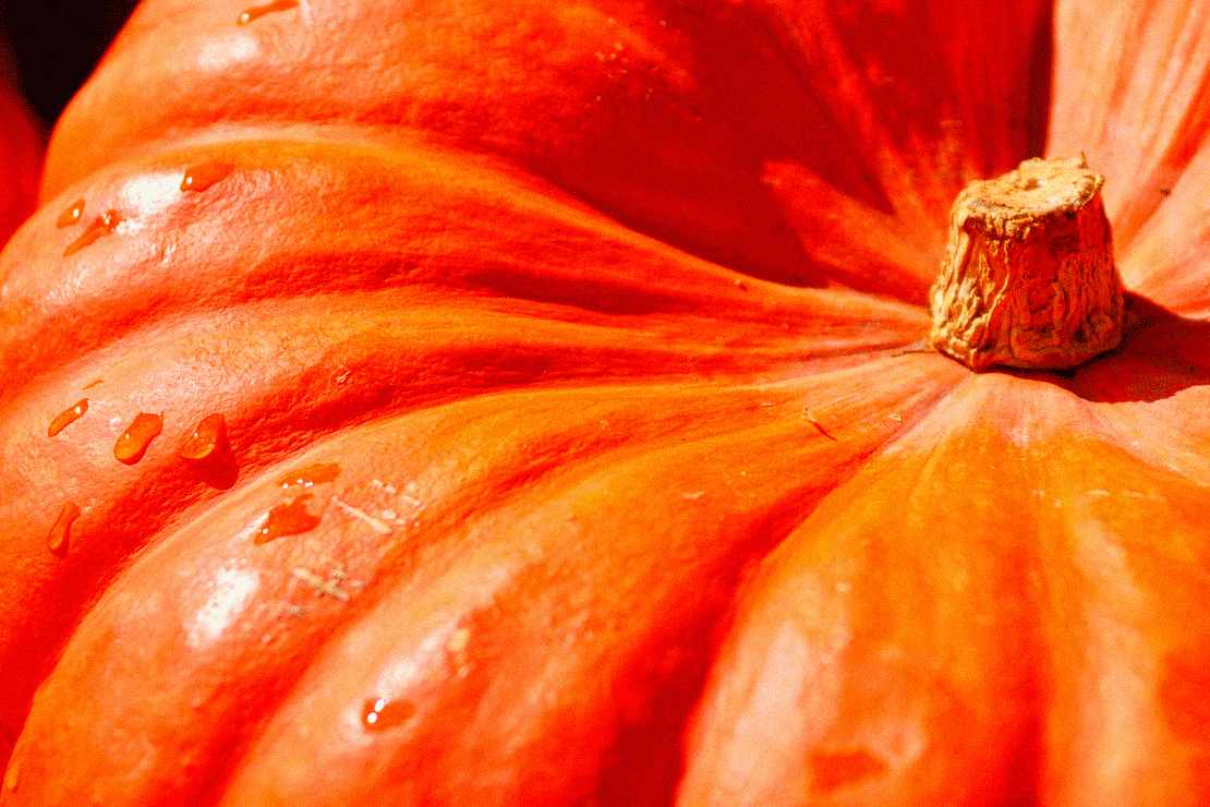 Яндекс.Картинки