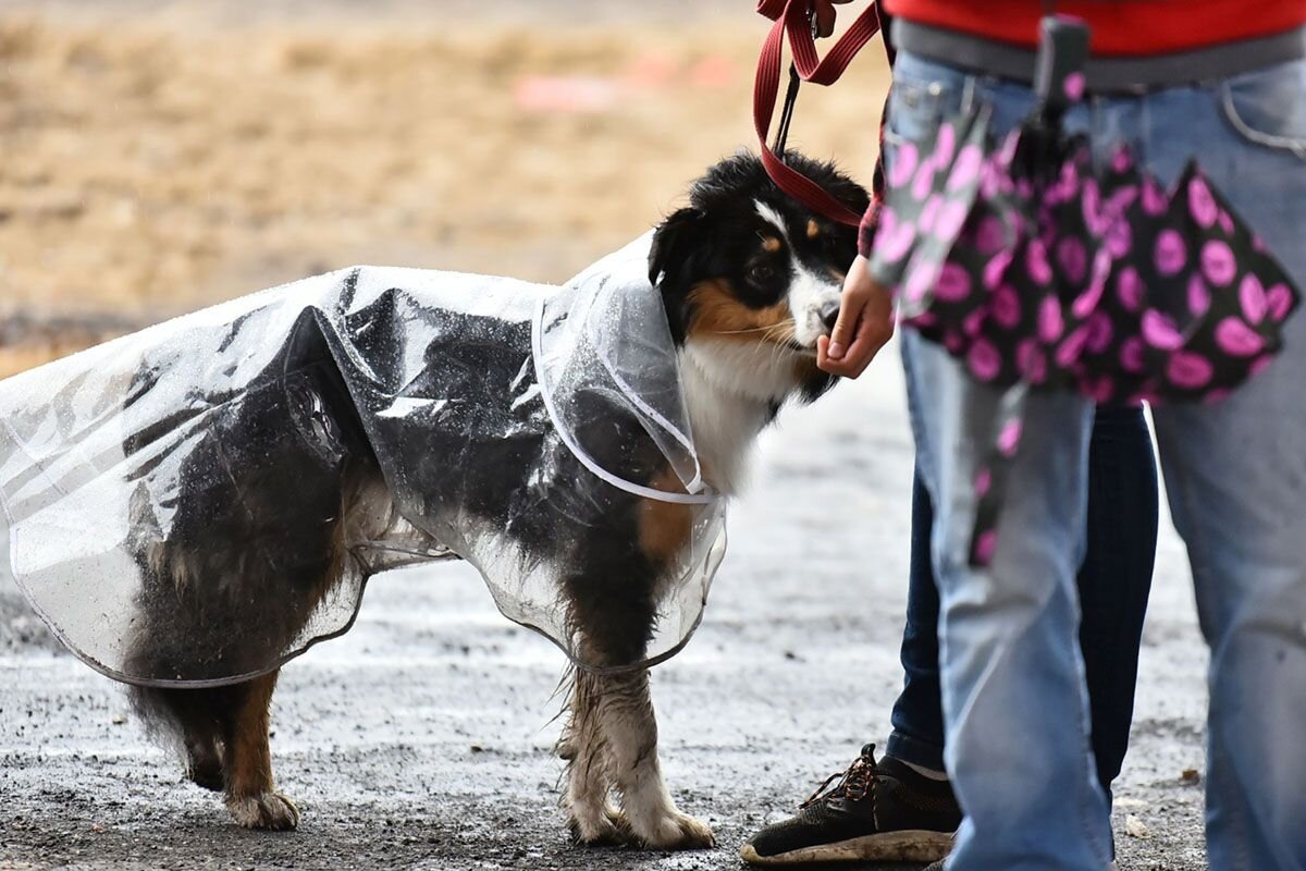 выходные в гомеле. выходные в гомеле.