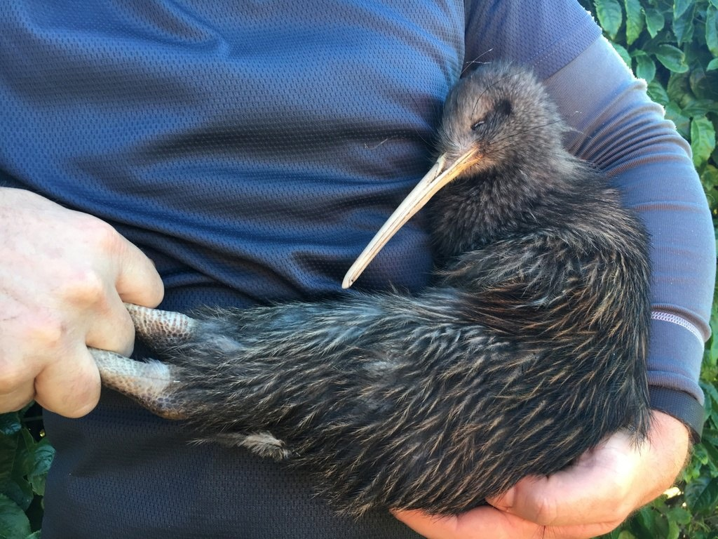 Да, вот тут еще помассируй, пожалуйста.