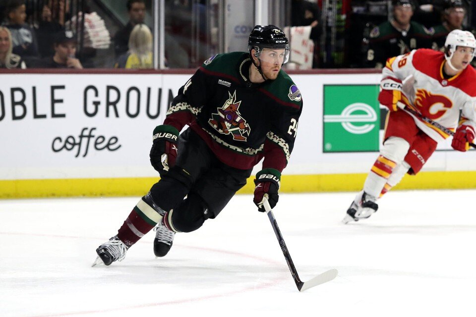    Хоккейный клуб «Динамо» усилился опытным канадским игроком Бреттом Ричи. Фото: hcdinamo.by.